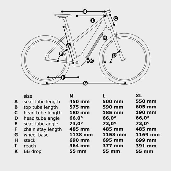 City Trekking Comfort Low Step E-Bike