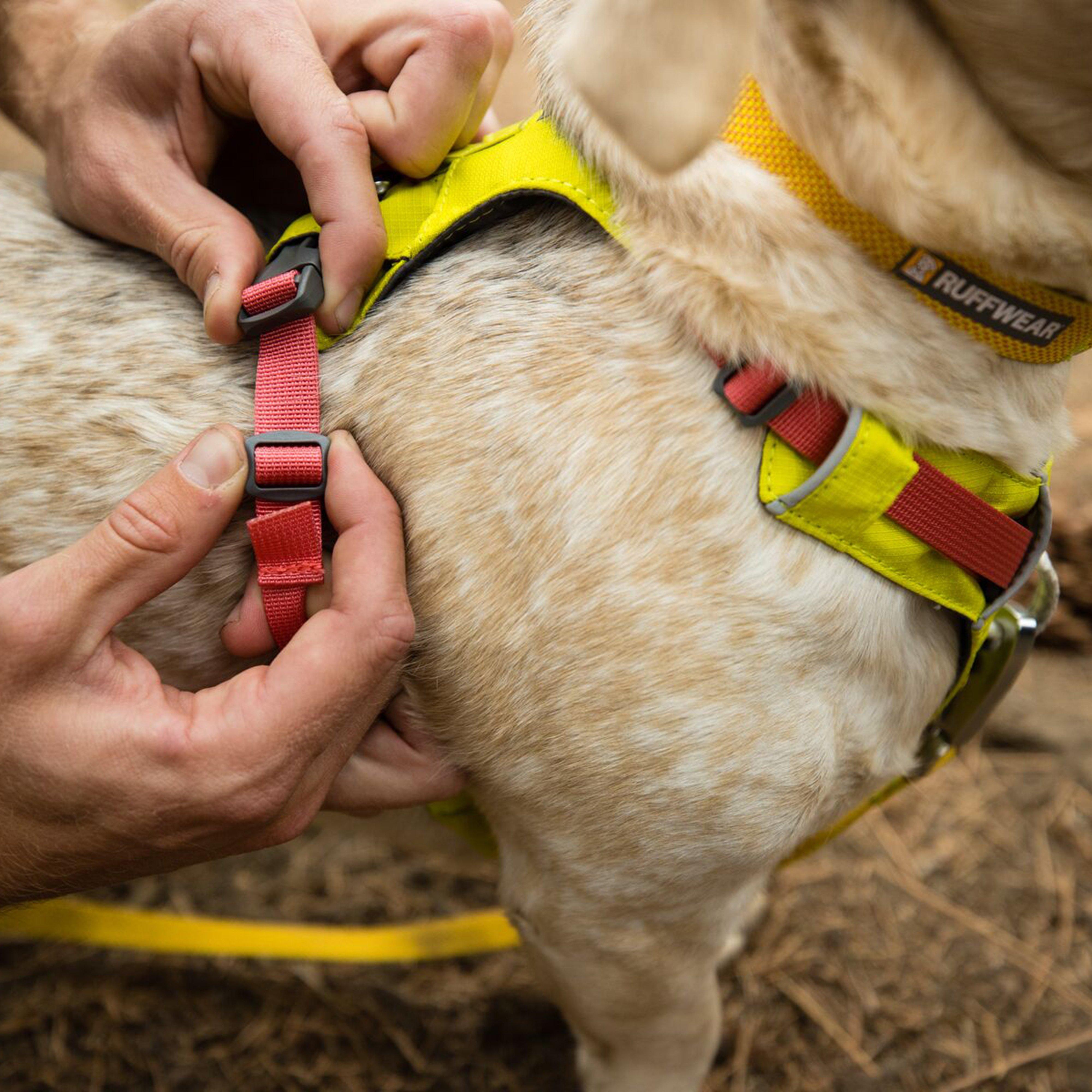 Hi Light Harness