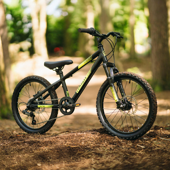Free Rein Bike 20"