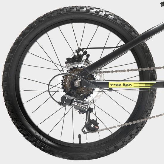 Free Rein Bike 20"