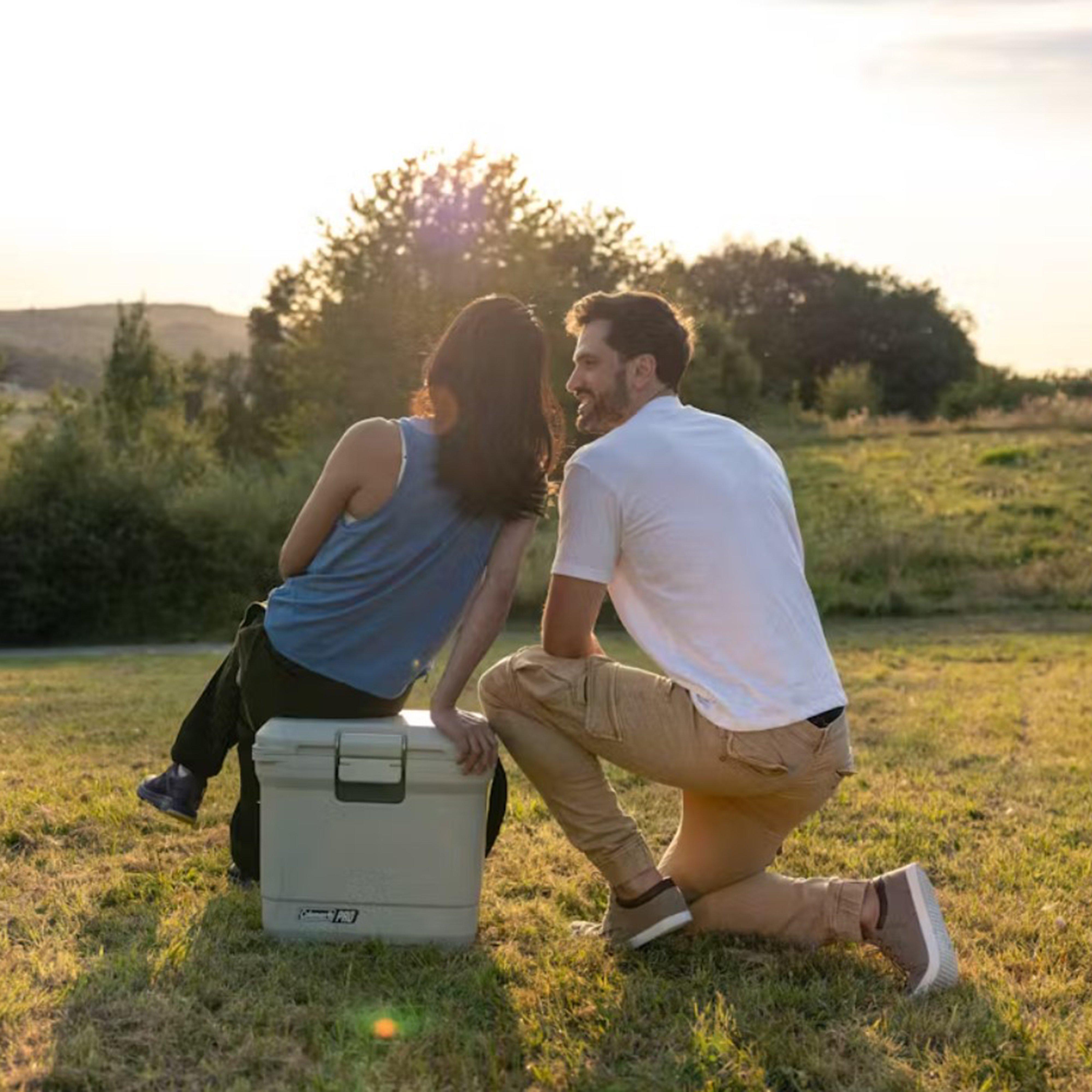 Pro 25QT Cooler Box