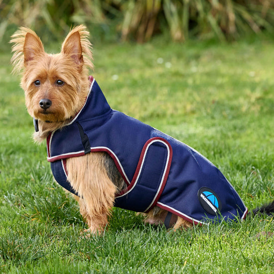 ComFiTec Premier Deluxe Waterproof Dog Coat