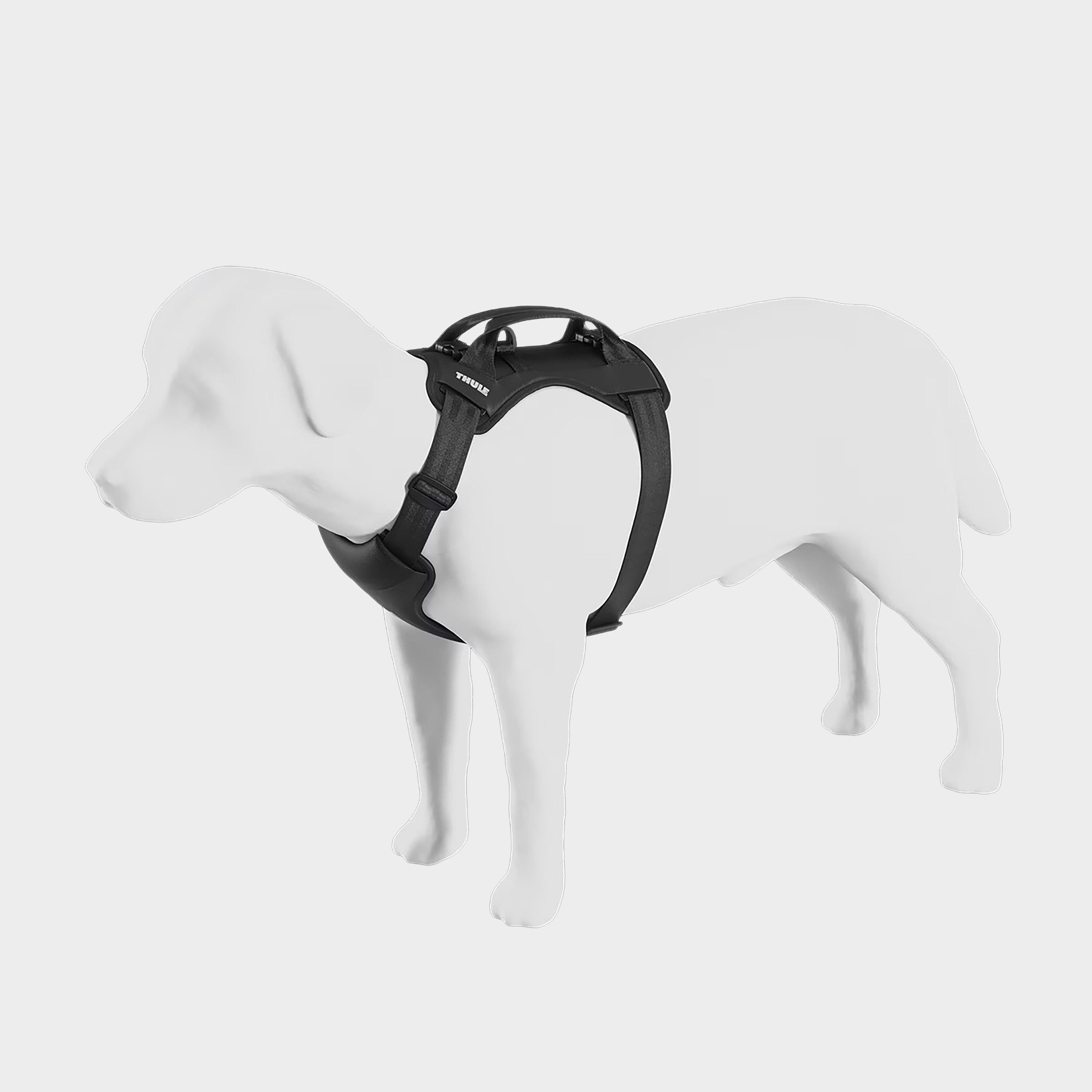 Cappy Dog Car Harness Large