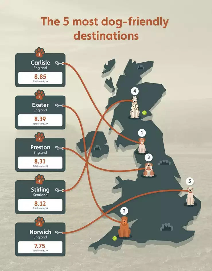 Dog-Friendly Holidays