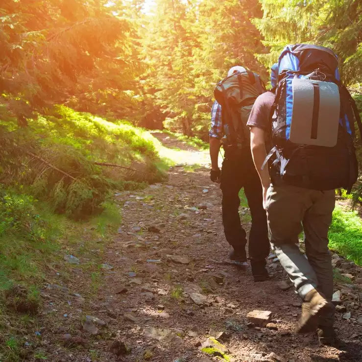 A Beginner's Guide to Climbing Your First Mountain