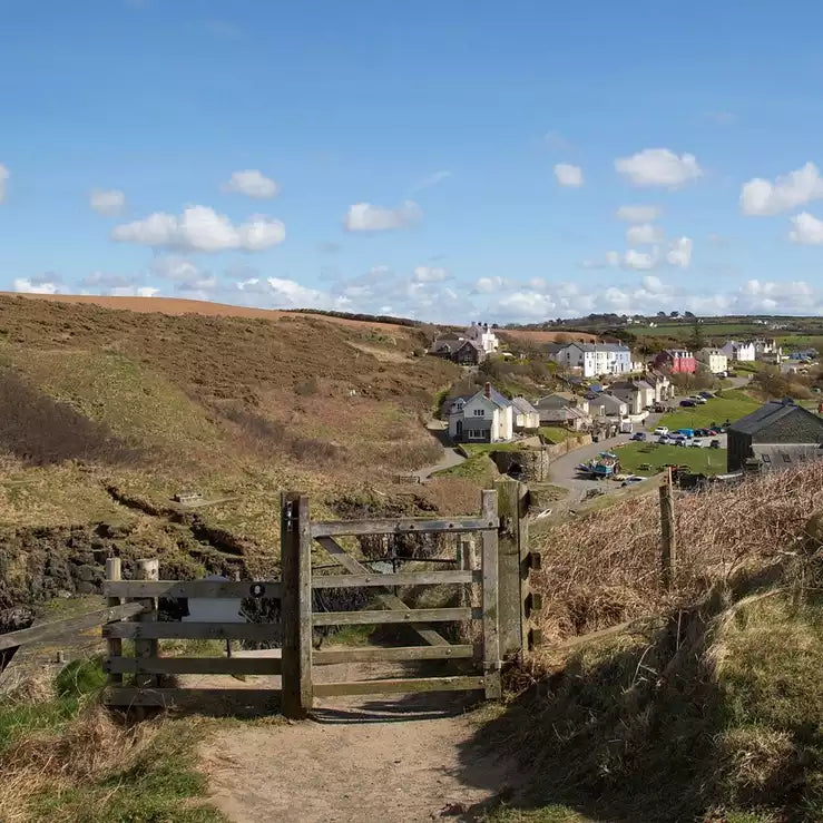 Junior Explorers' Club: Walking With The Family
