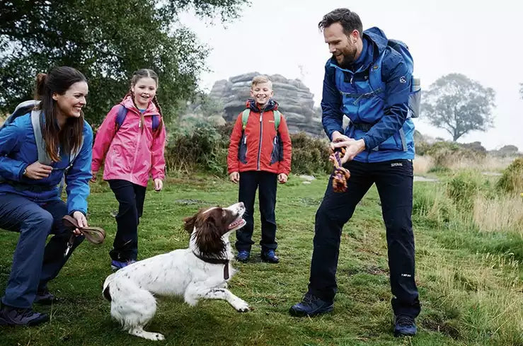 Top 10 Favourite Outdoor Dogs