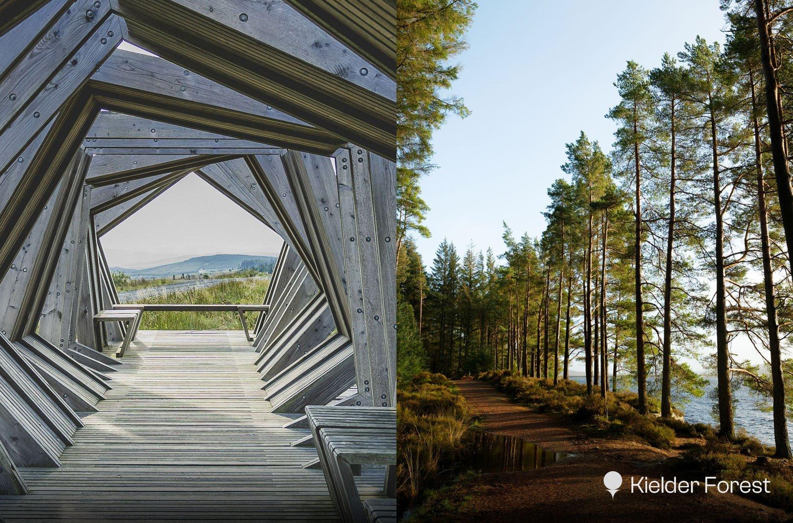 Best Forests to Explore This Winter: Family Fun with Forestry England