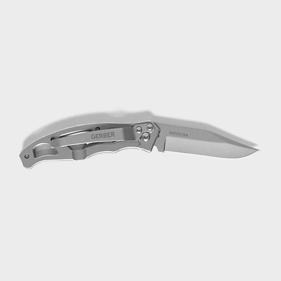 Paraframe Mini Folding Knife