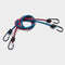 Bungee Cords, 36" (Pair)