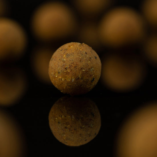 The Krill Shelf Life 16mm 1k