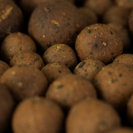 Bloodworm Shelf Life 12mm 1kg