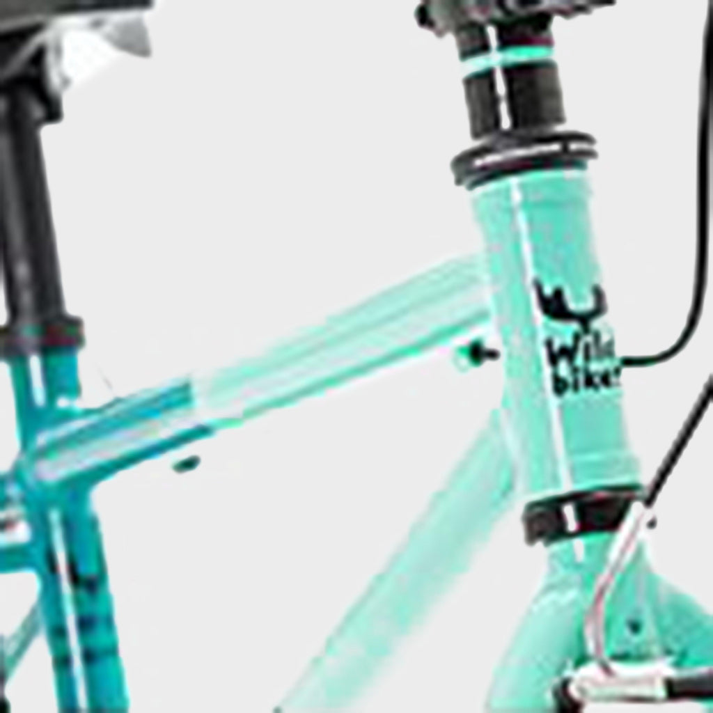 Wild 16 Kids' Bike