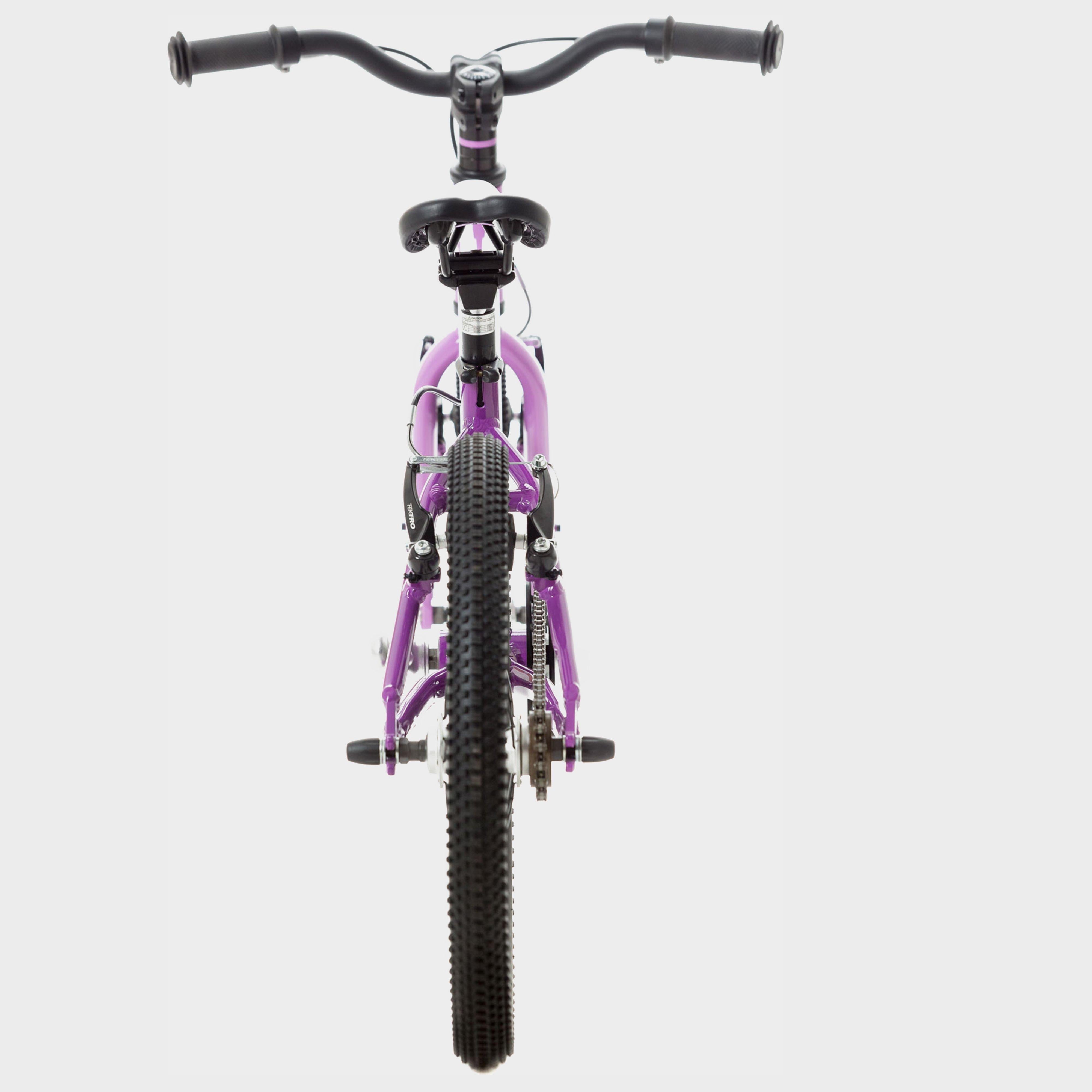Wild 18 Kids' Bike