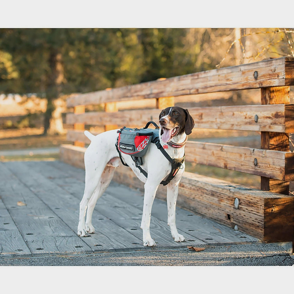 Summit Backpack (Medium)