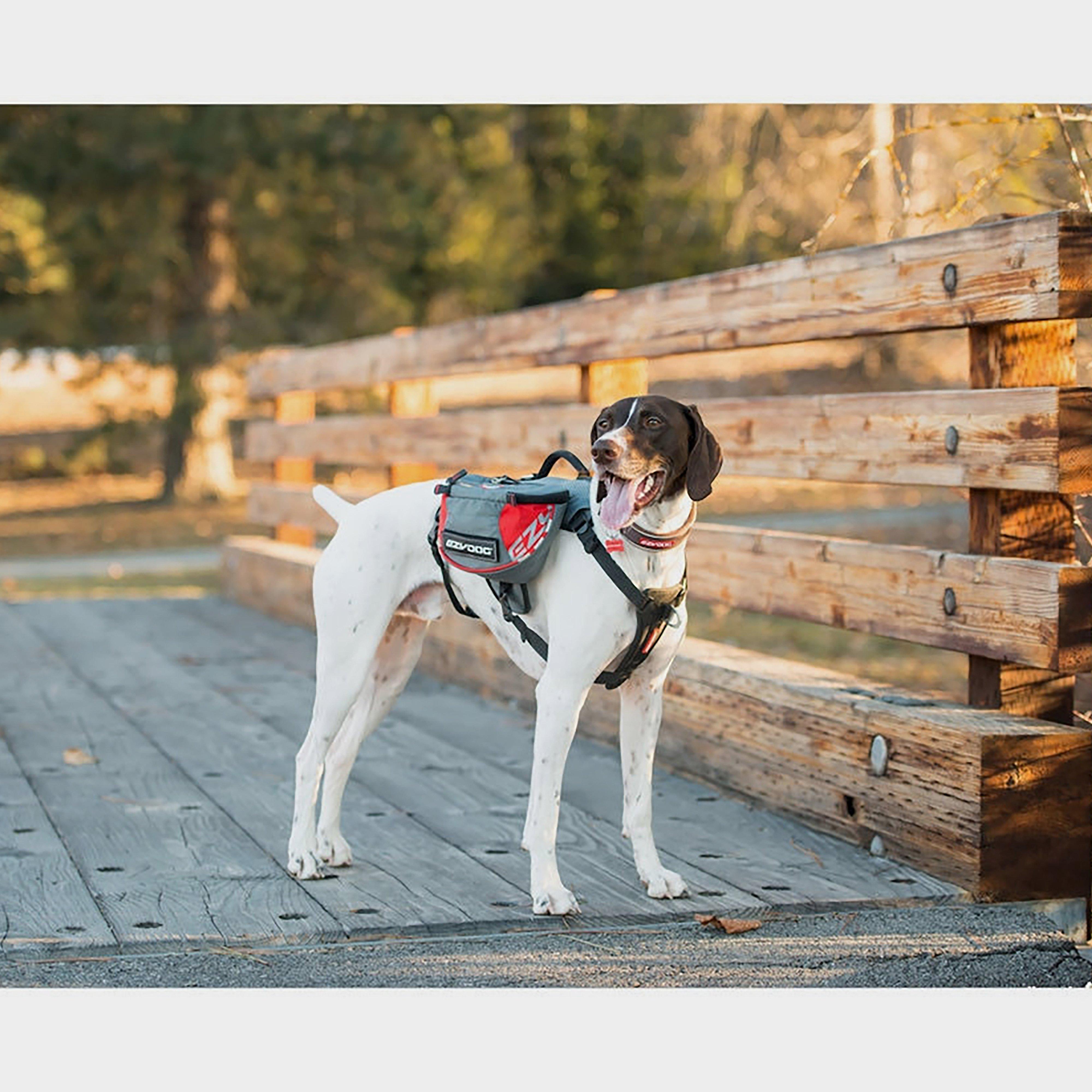 Summit Backpack (Medium)