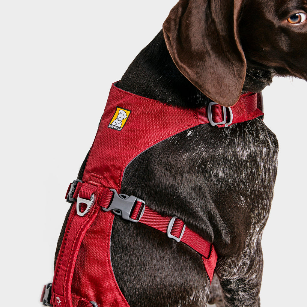Flagline Dog Harness