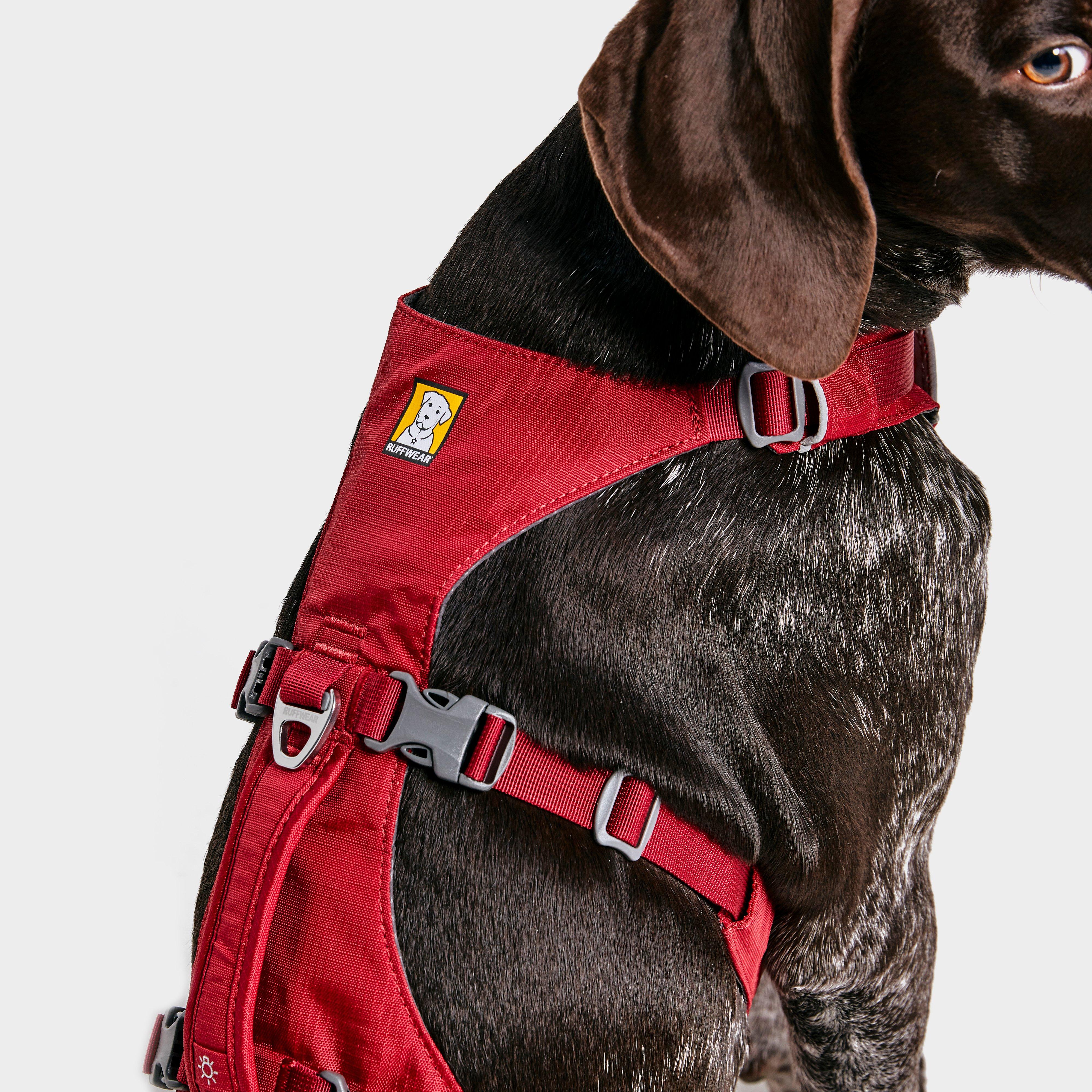 Flagline Dog Harness