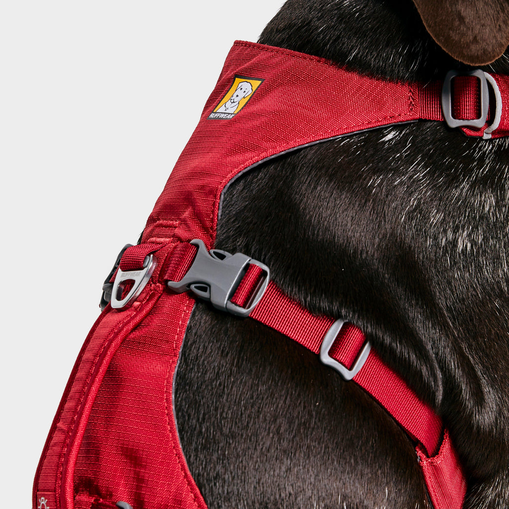 Flagline Dog Harness