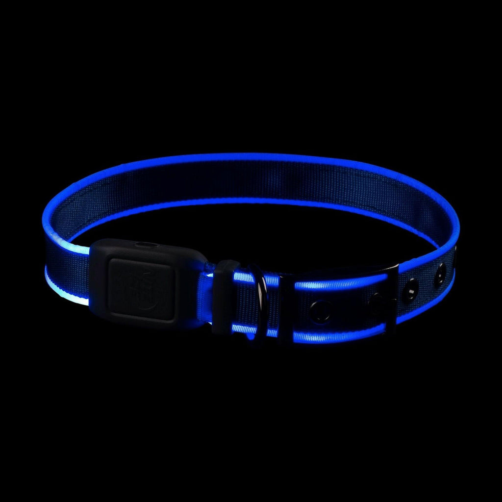 Nitedog® LED Rechargeable Collar Blue Large