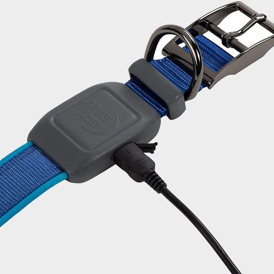 Nitedog LED Rechargeable Collar Blu
