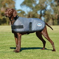 Comfitec Classic Dog Coat