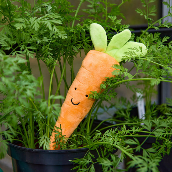 Foodie Faces Furry Carrot