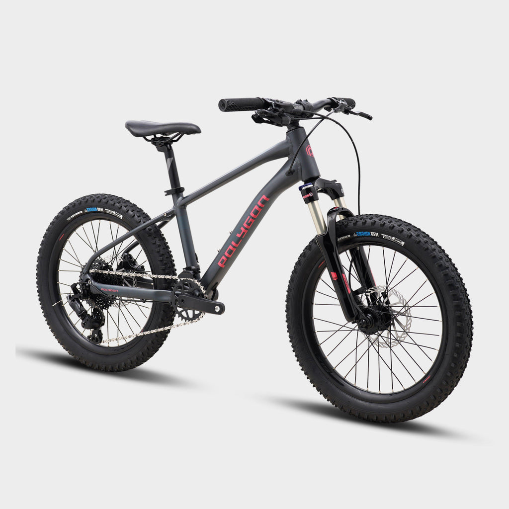 Xtrada 20 Mountain Bike