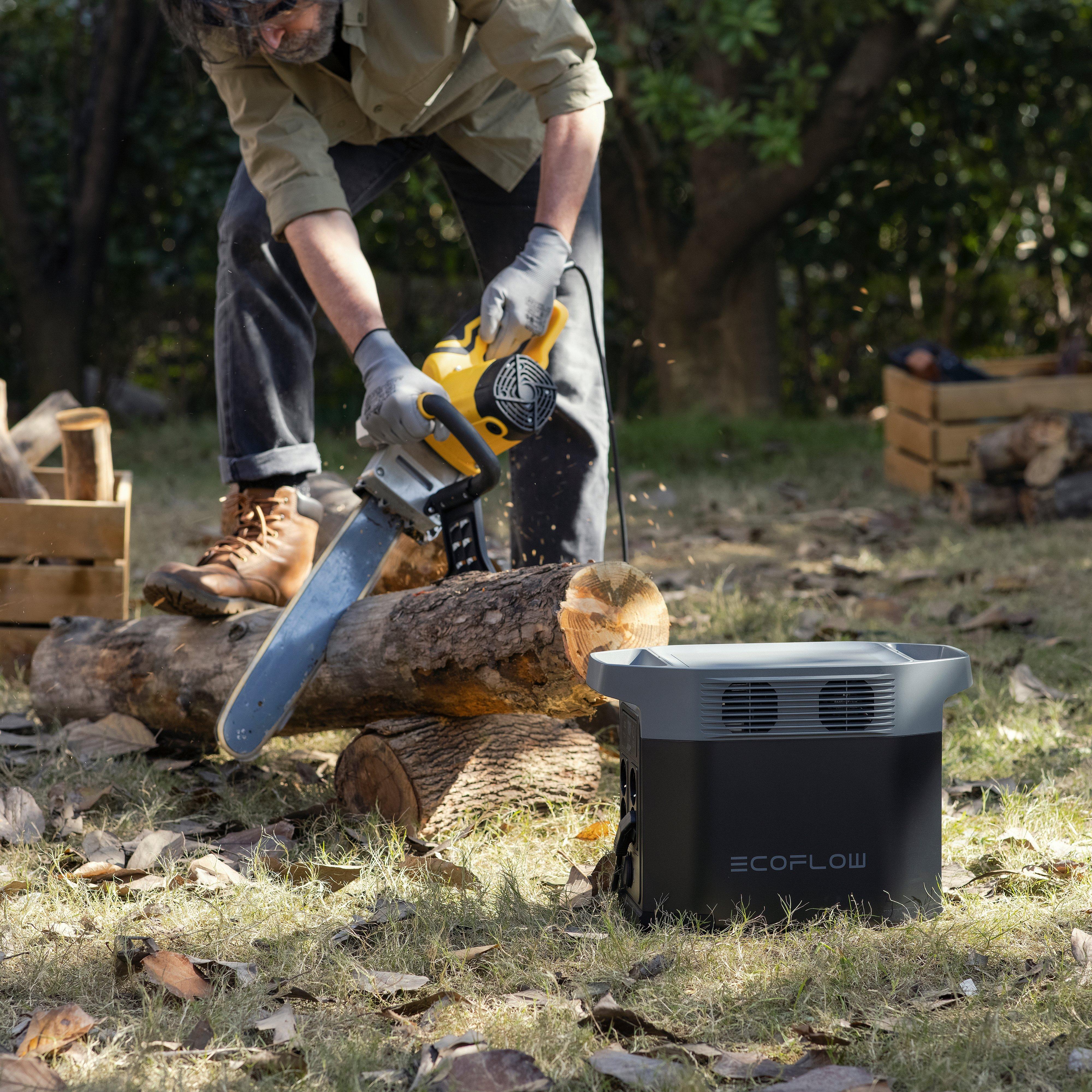 DELTA 2 PORTABLE Power Station