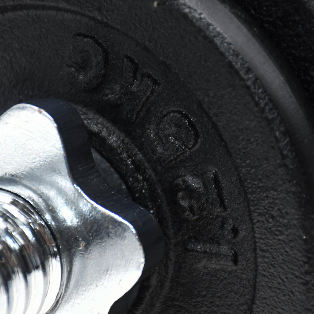 Cast Iron Dumbbell Set 20kg