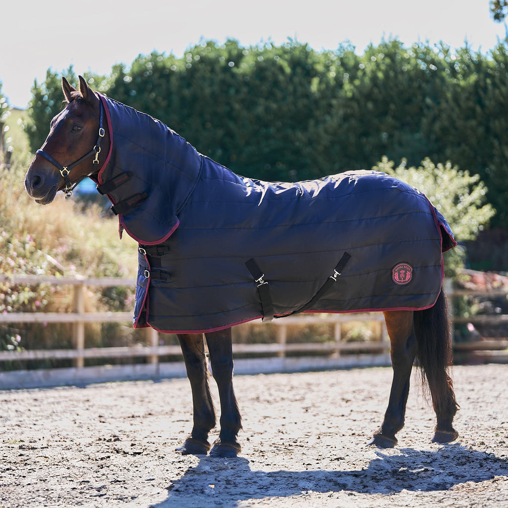 Original 100g Combo Neck Stable Rug