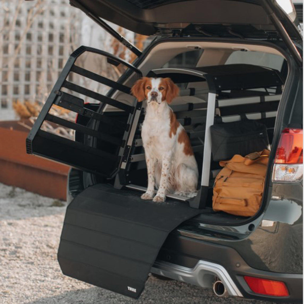 Allax Bumper Protector Wide