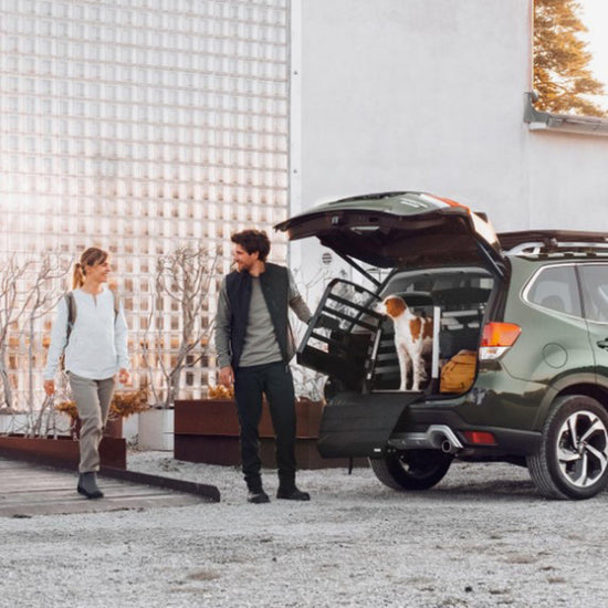 Allax Bumper Protector Wide