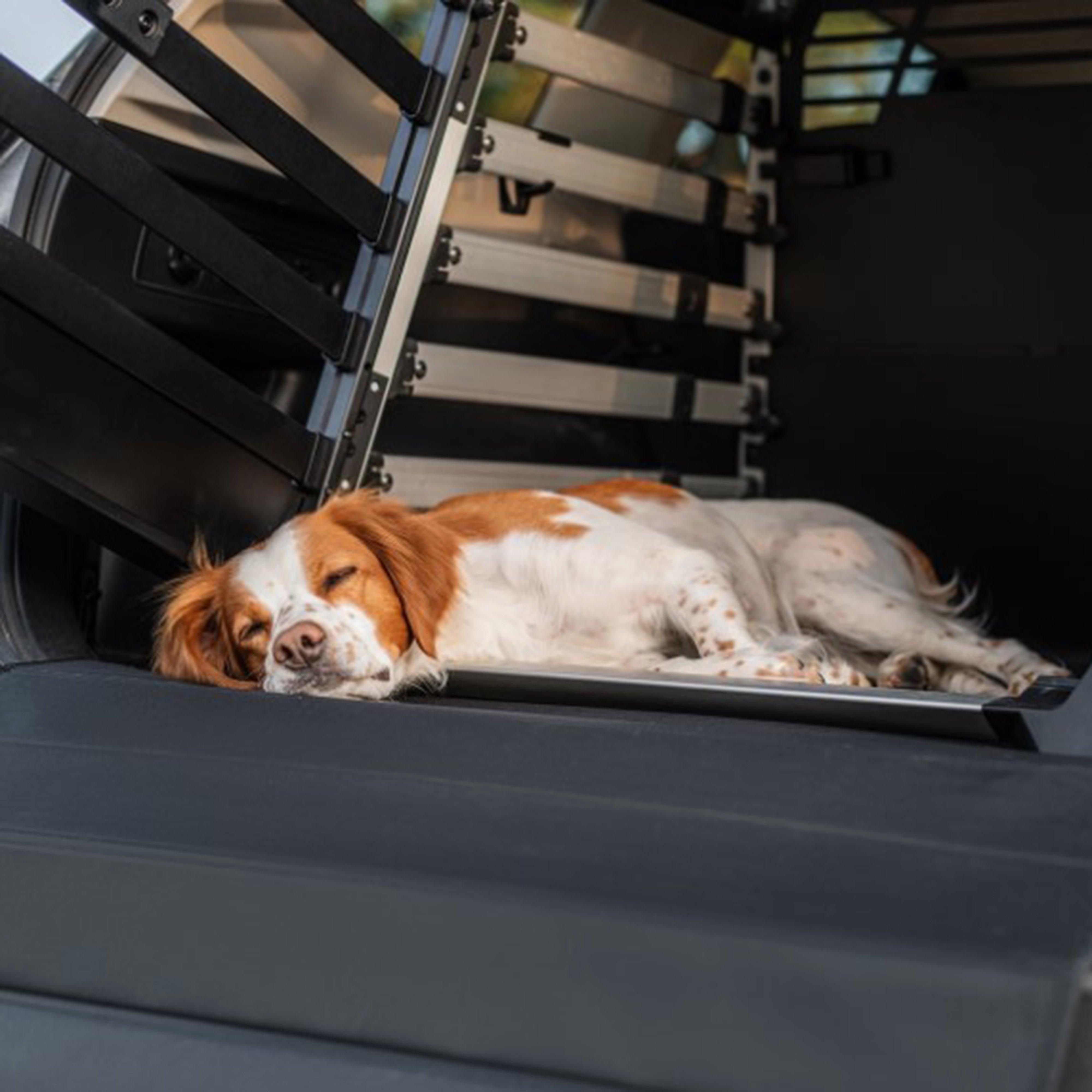 Dog Crate Mat Standard