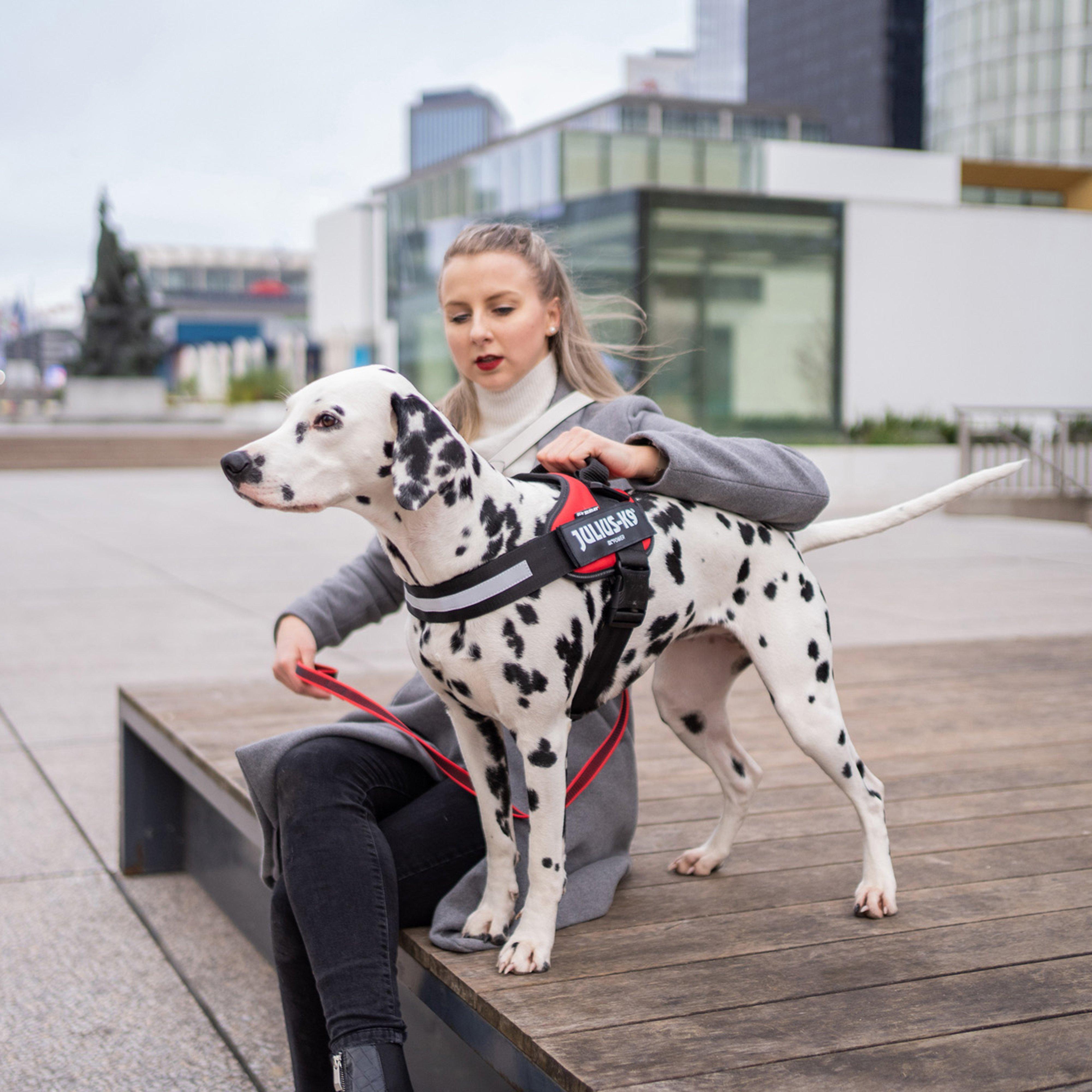 Original K9 Powerharness Size 0