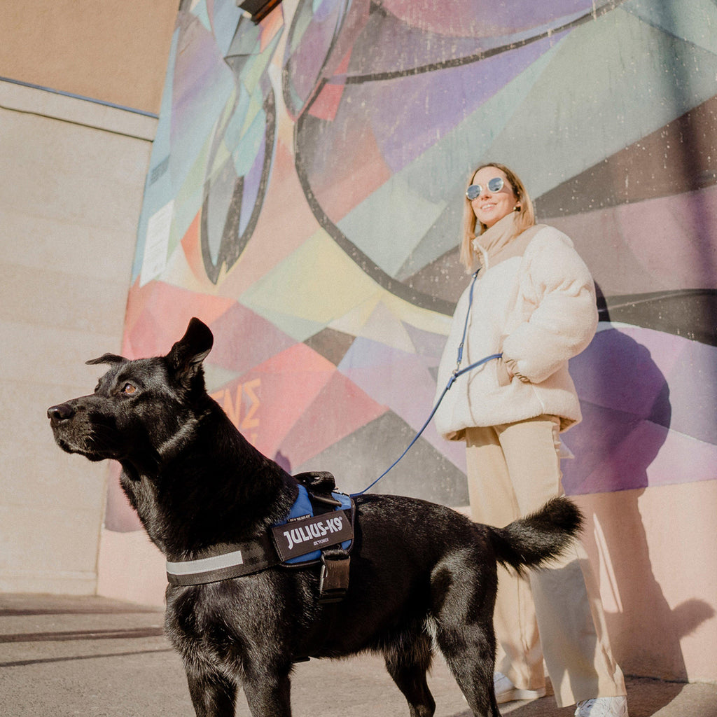 Original K9 Powerharness Size 0