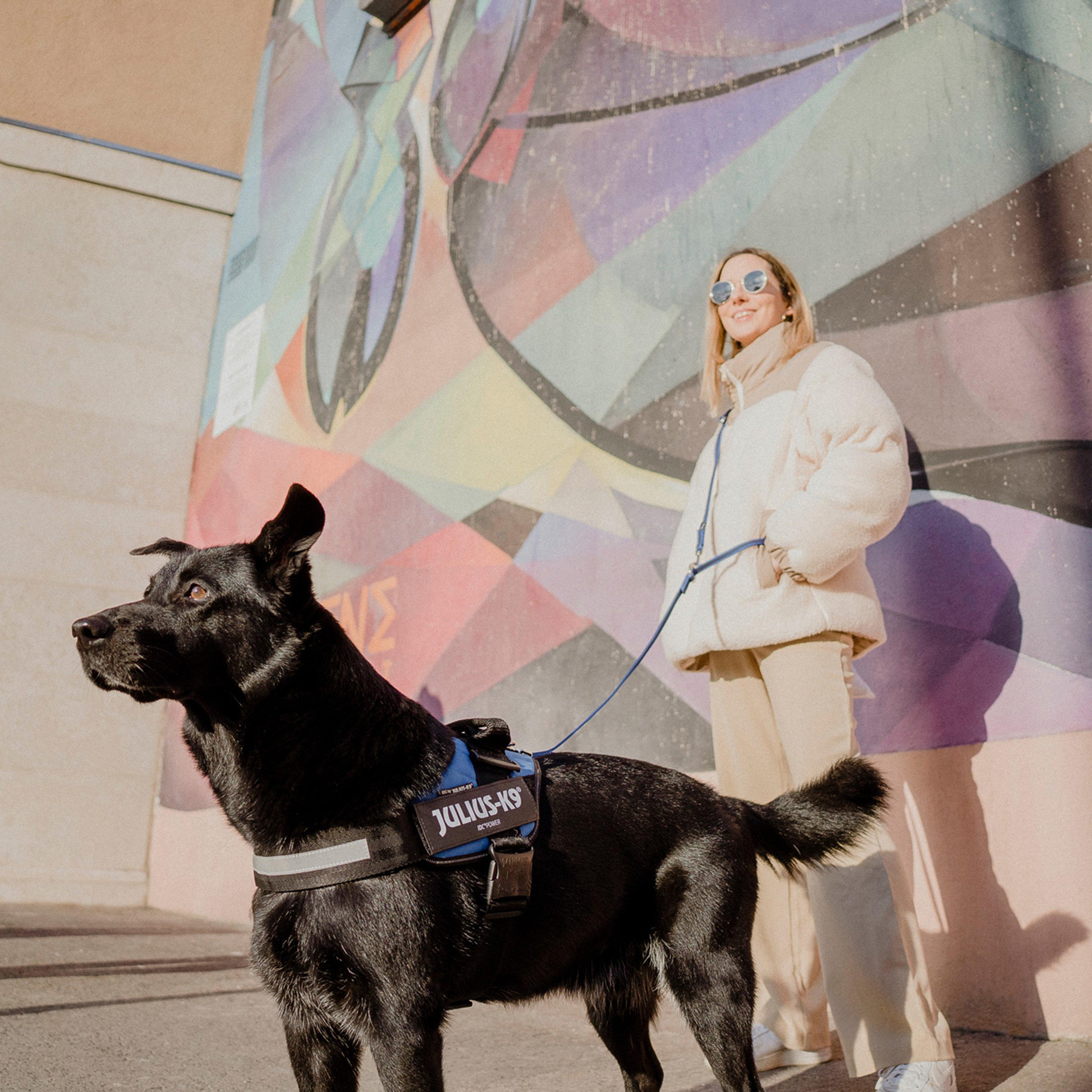 Original K9 Powerharness Size 0