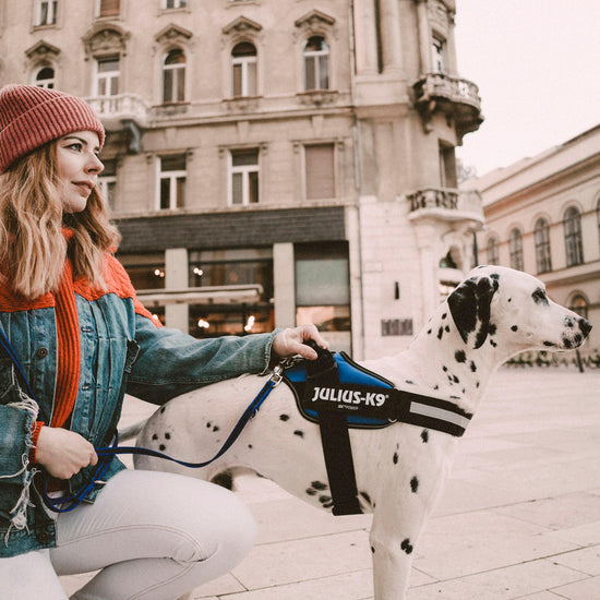 Original K9 Powerharness Size 0