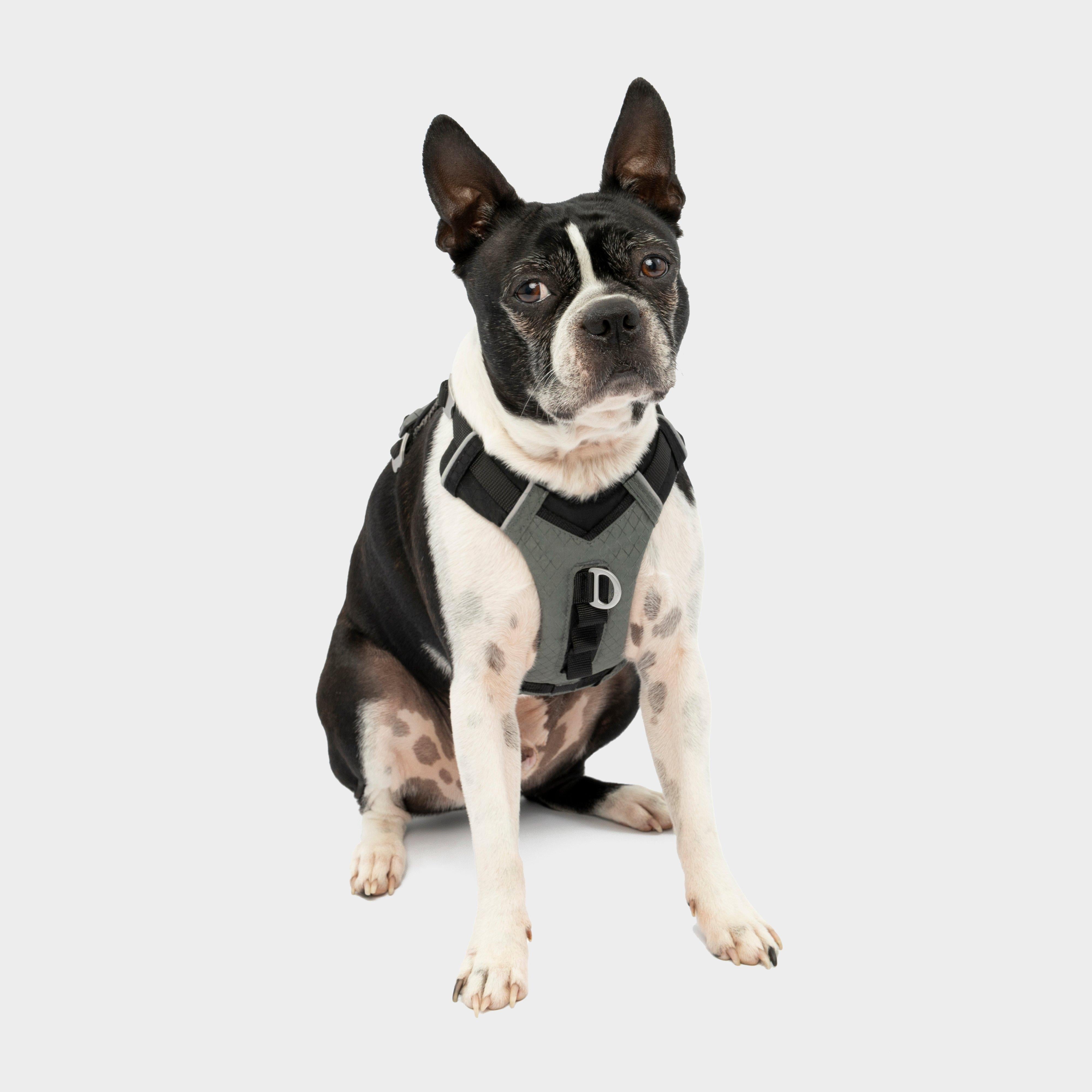 Journey Air Dog Harness