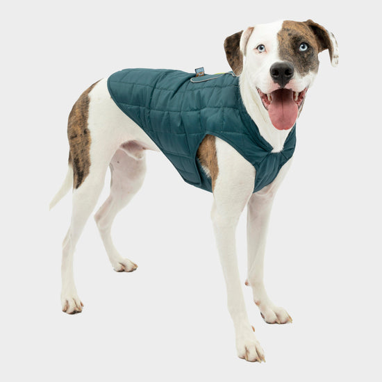 Dog Loft Jacket
