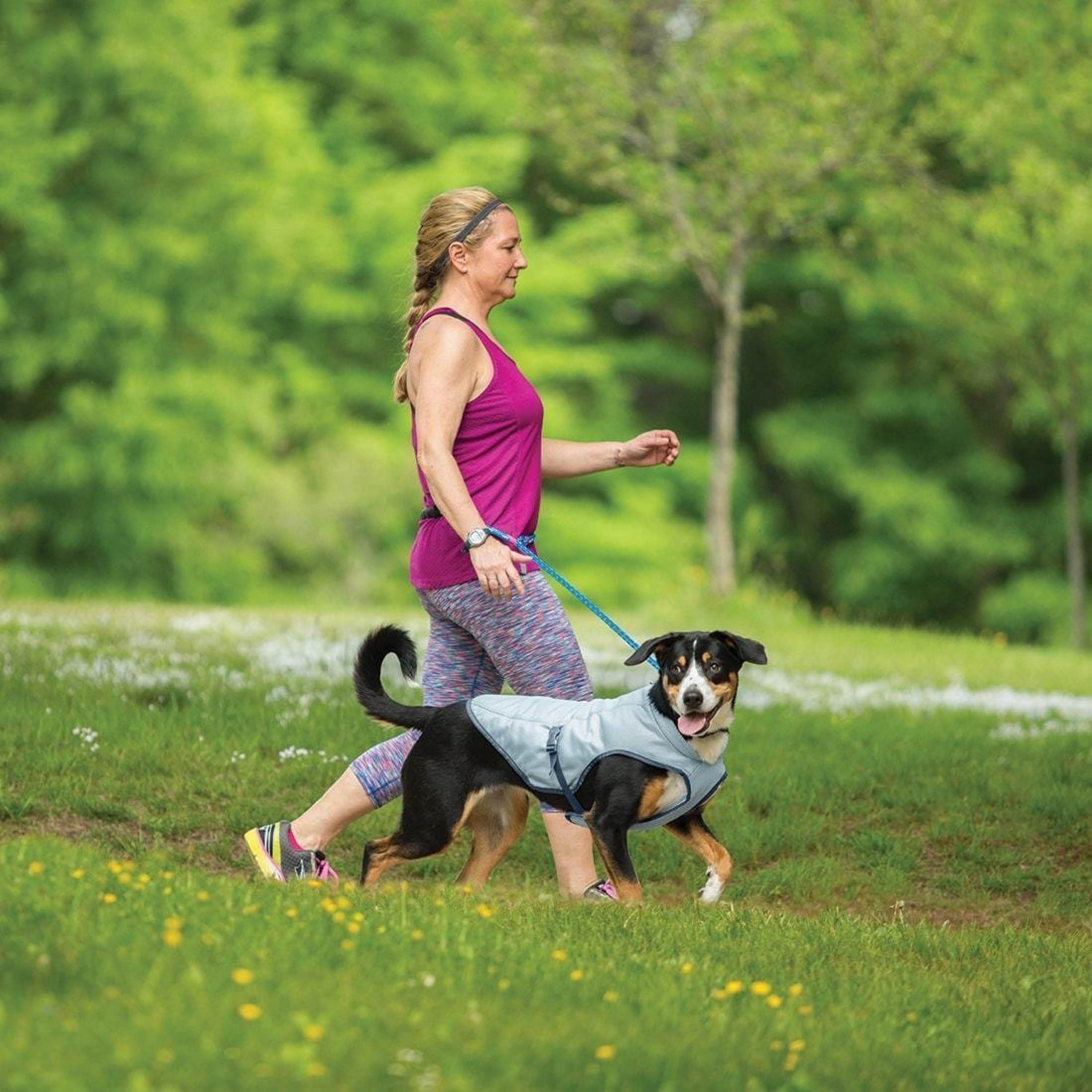 Dog Core Cooling Vest