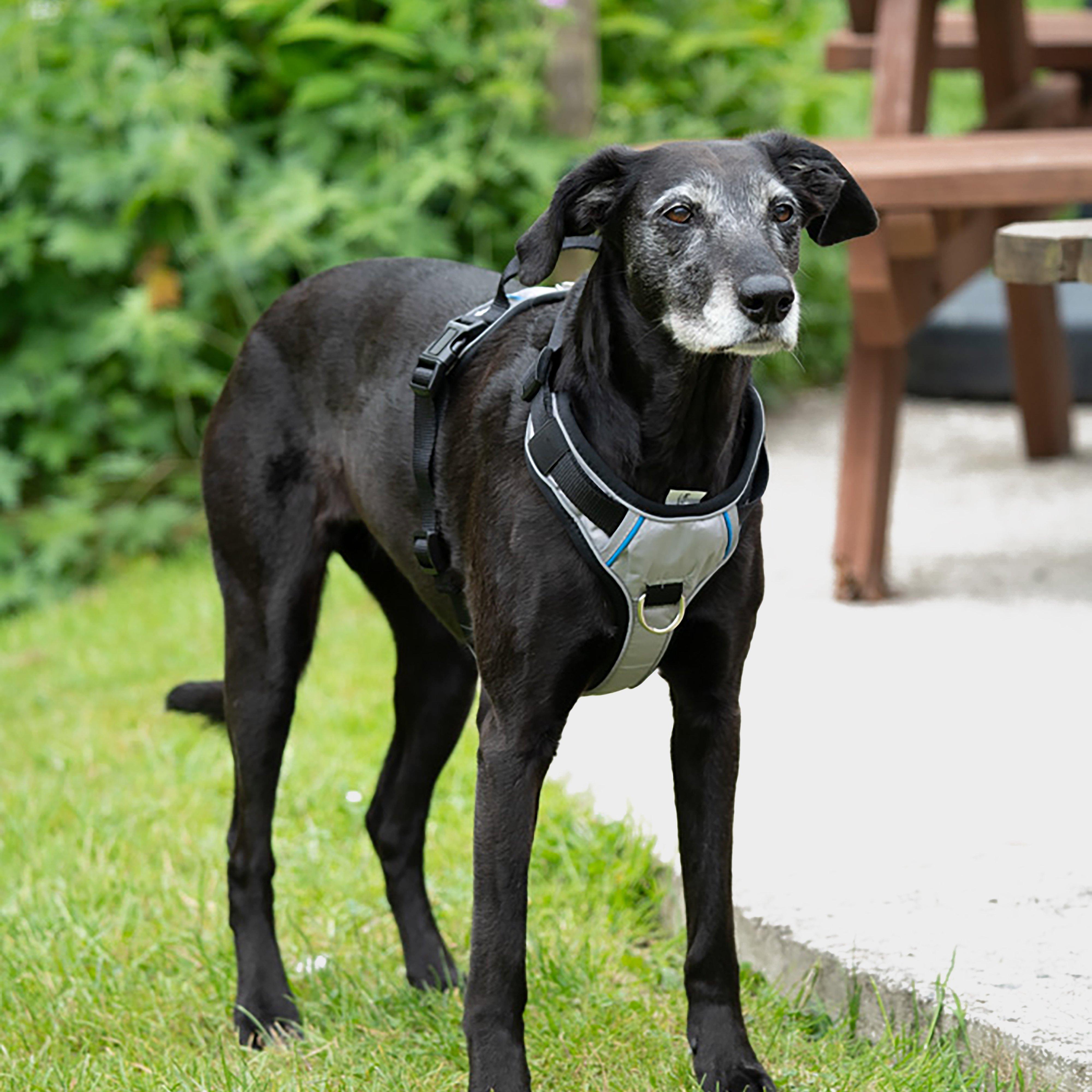 Outdoor Paws Adventure Harness Sling Large