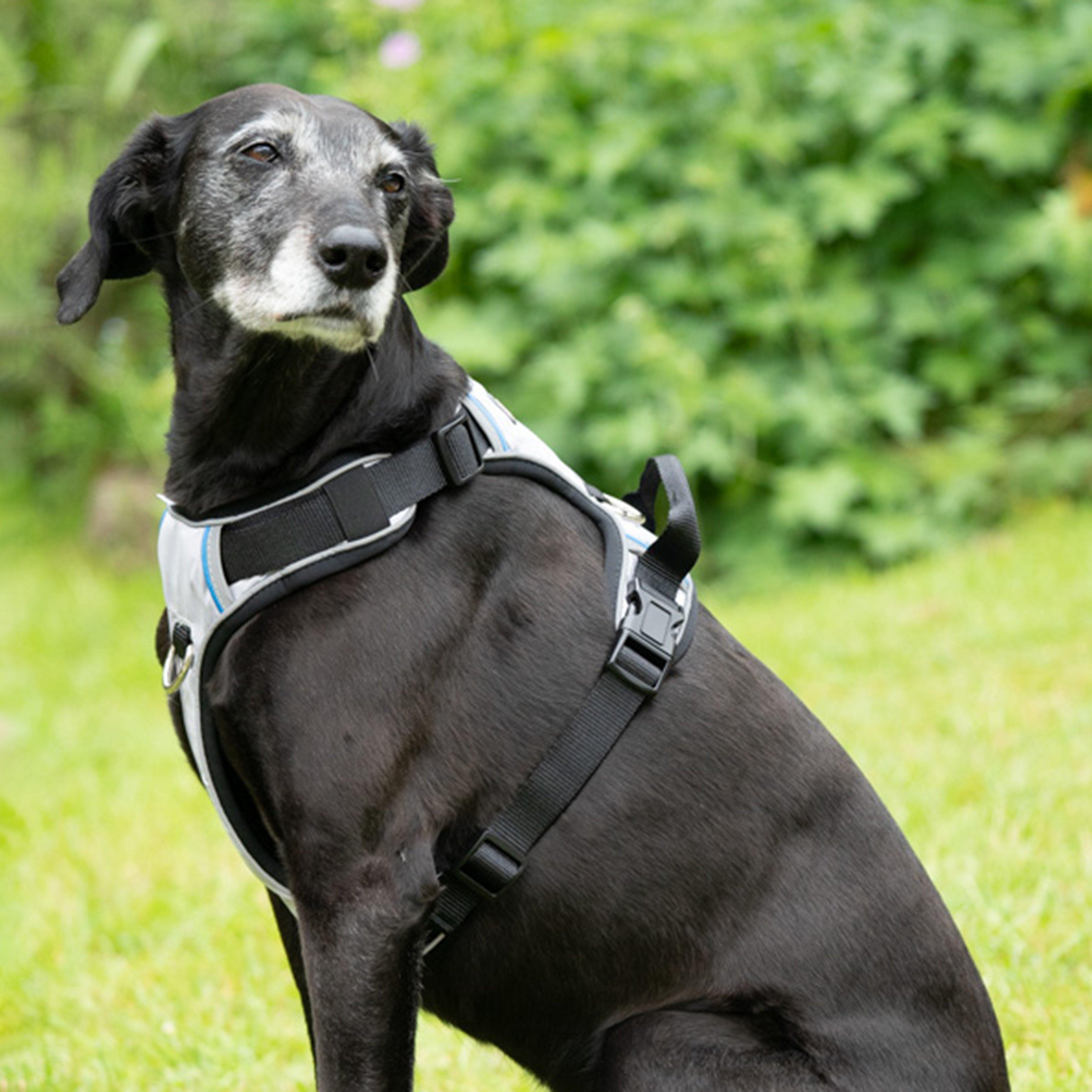 Outdoor Paws Adventure Harness Sling Large