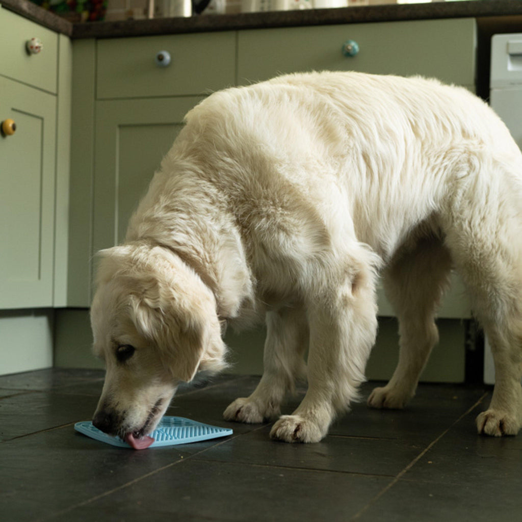 Silicone Pet Treat Mat 2 Pack