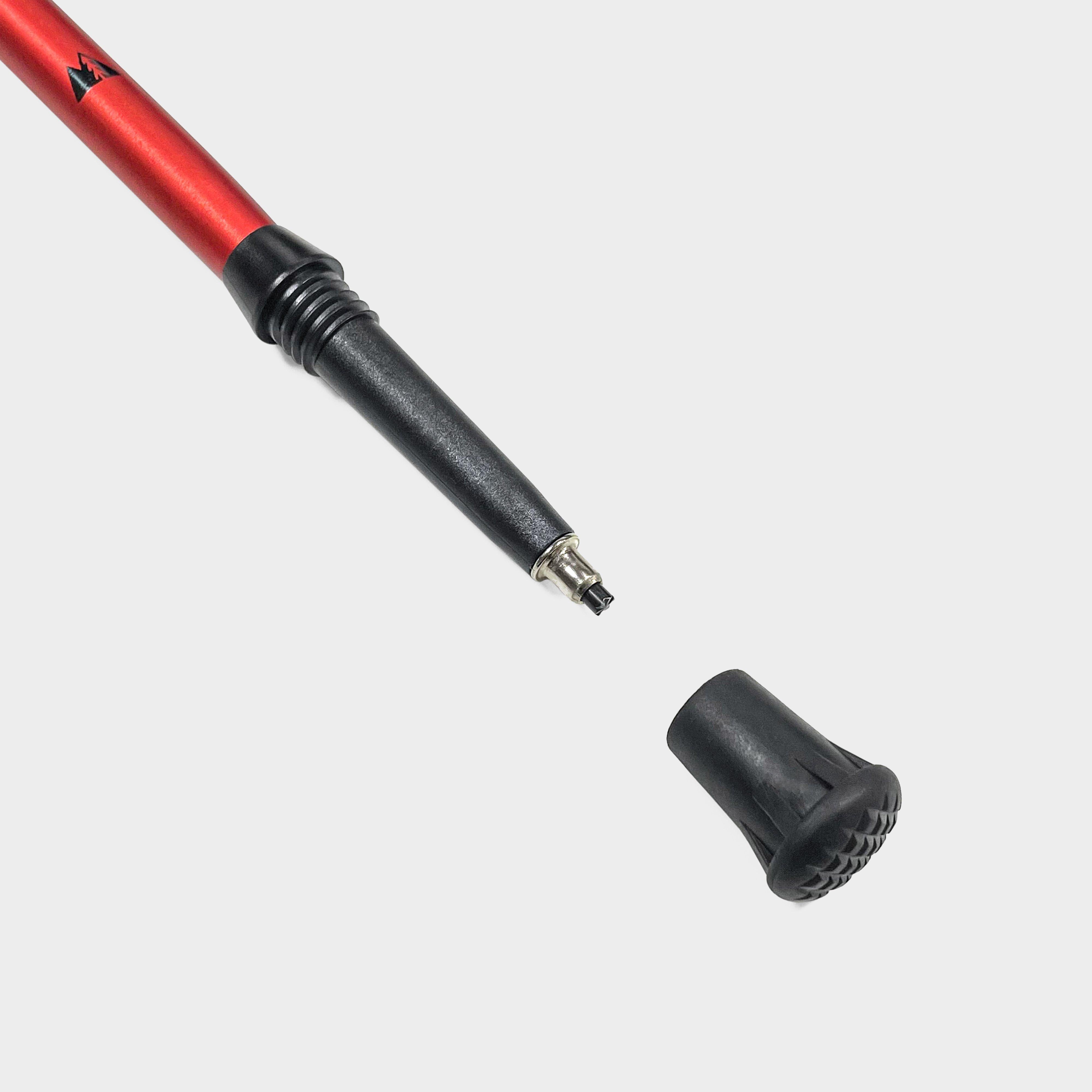 Expedition Walking Pole