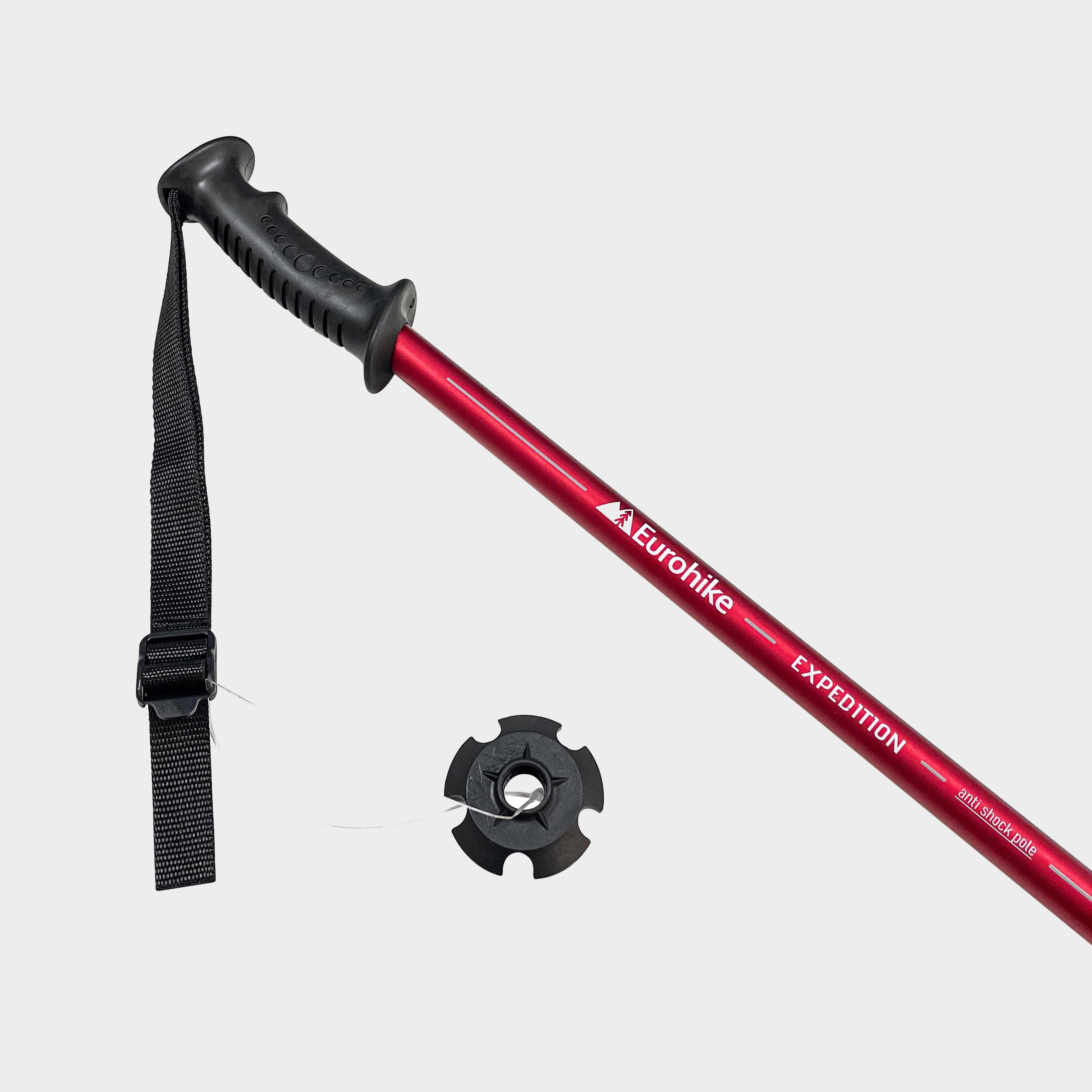 Expedition Walking Pole