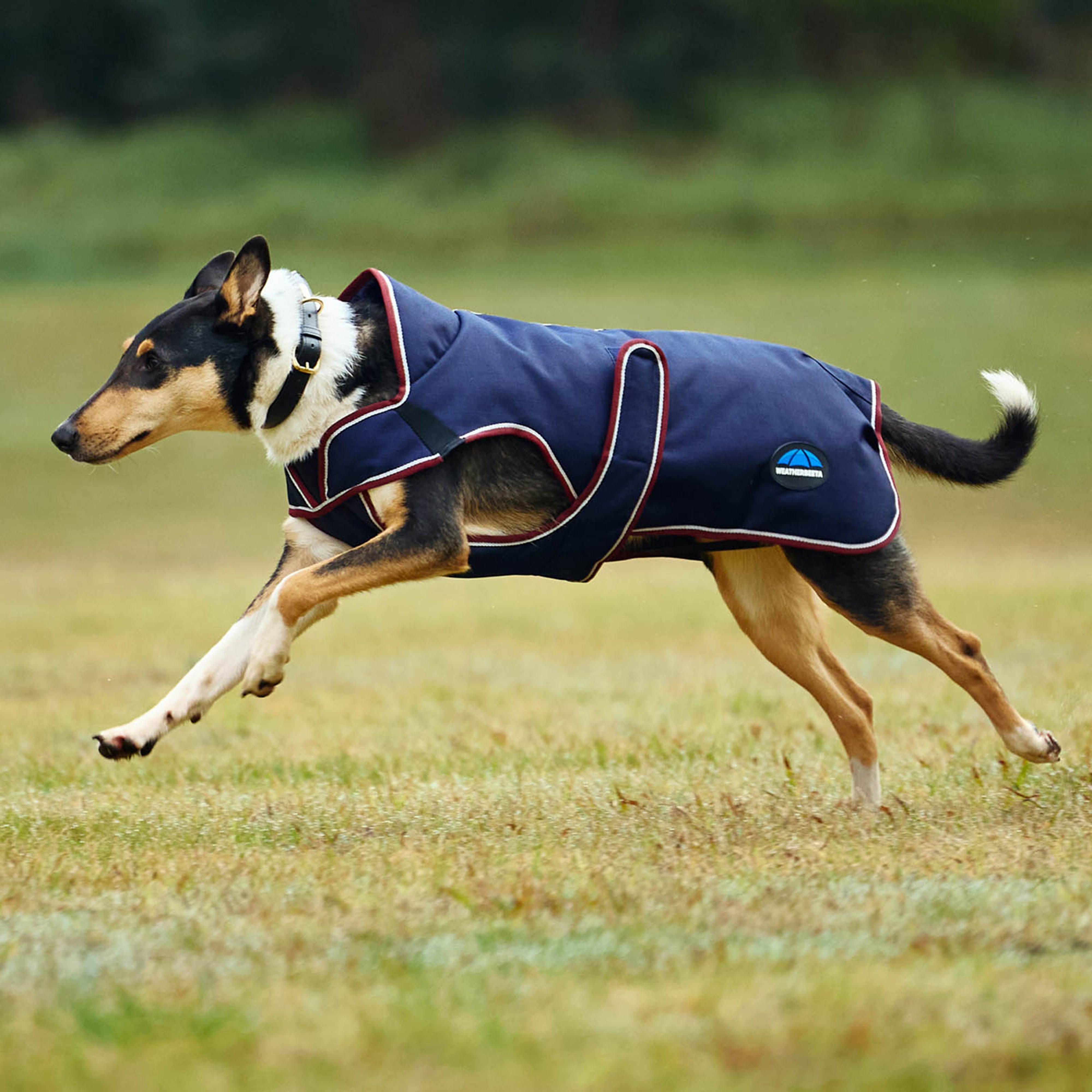 ComFiTec Premier Deluxe Waterproof Dog Coat