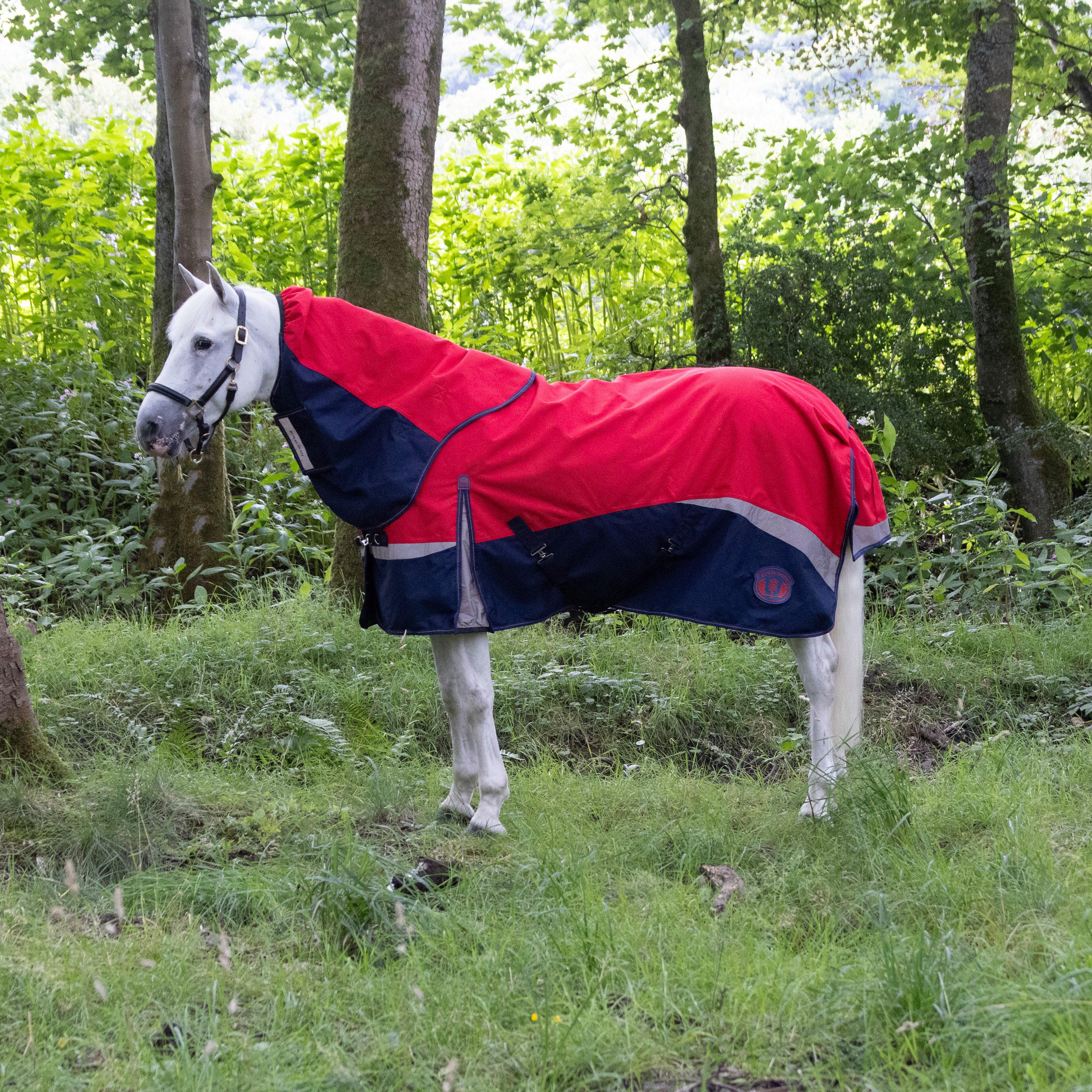 Pro 100g Turnout Rug