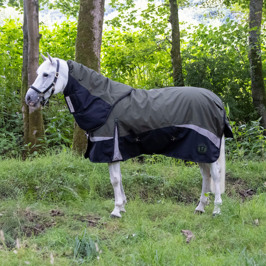 Pro 200g Turnout Rug