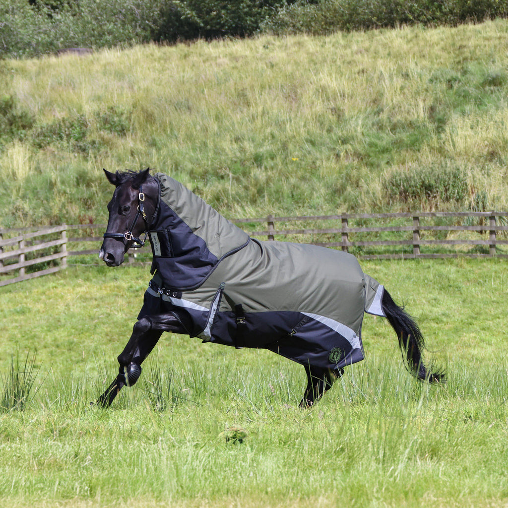 Pro 200g Turnout Rug